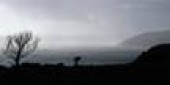 Misty scene in Pembrokeshire
